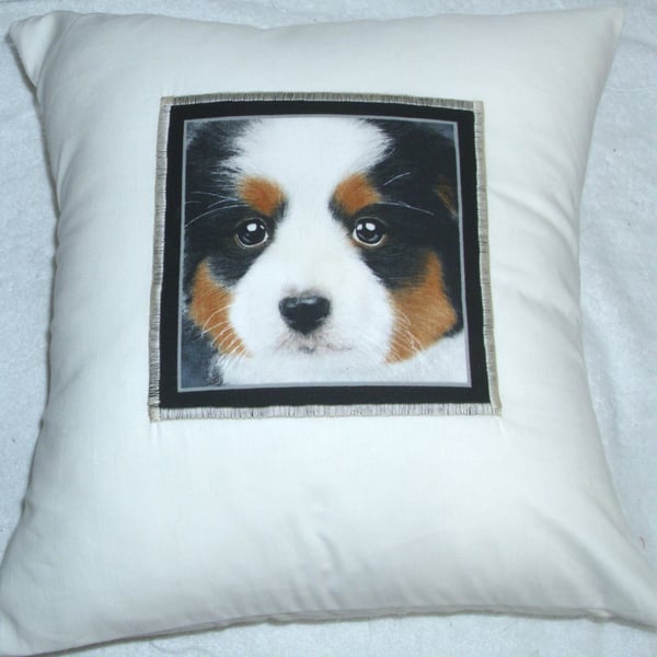 Bernese Mountain Puppy Portrait cushion