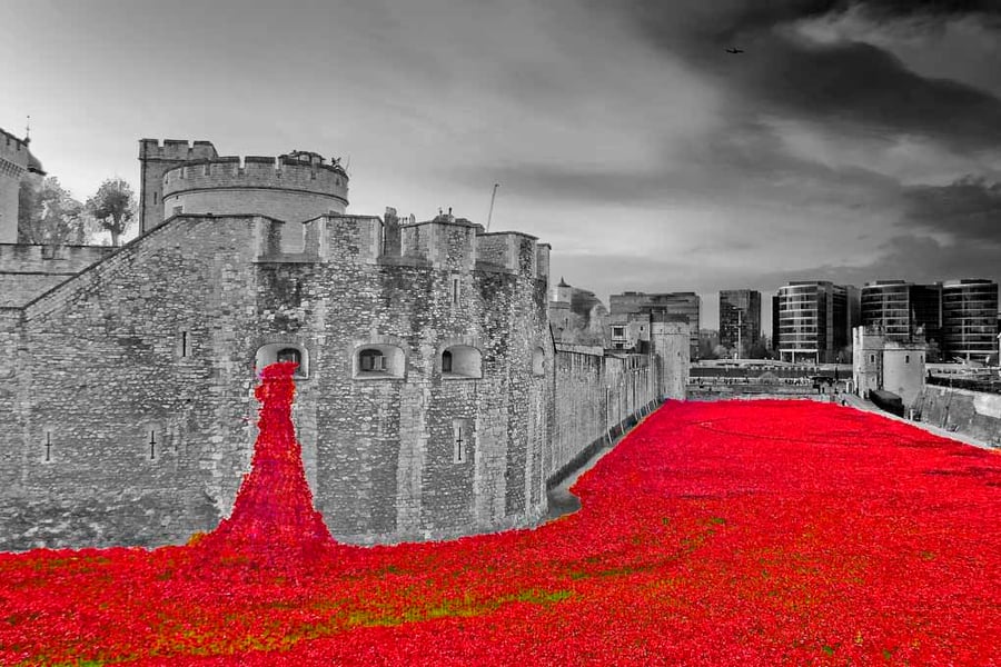 Tower of London Red Poppies England UK 18"x12" Print