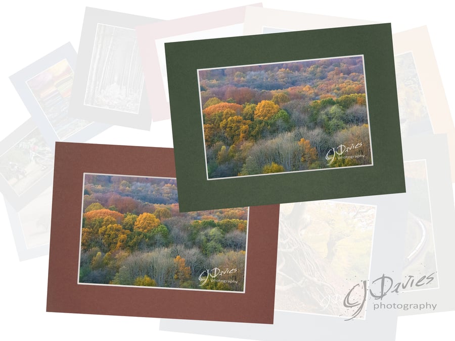 CJ221 - Autumn colours