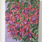'My mum's fuschias' original painting.  