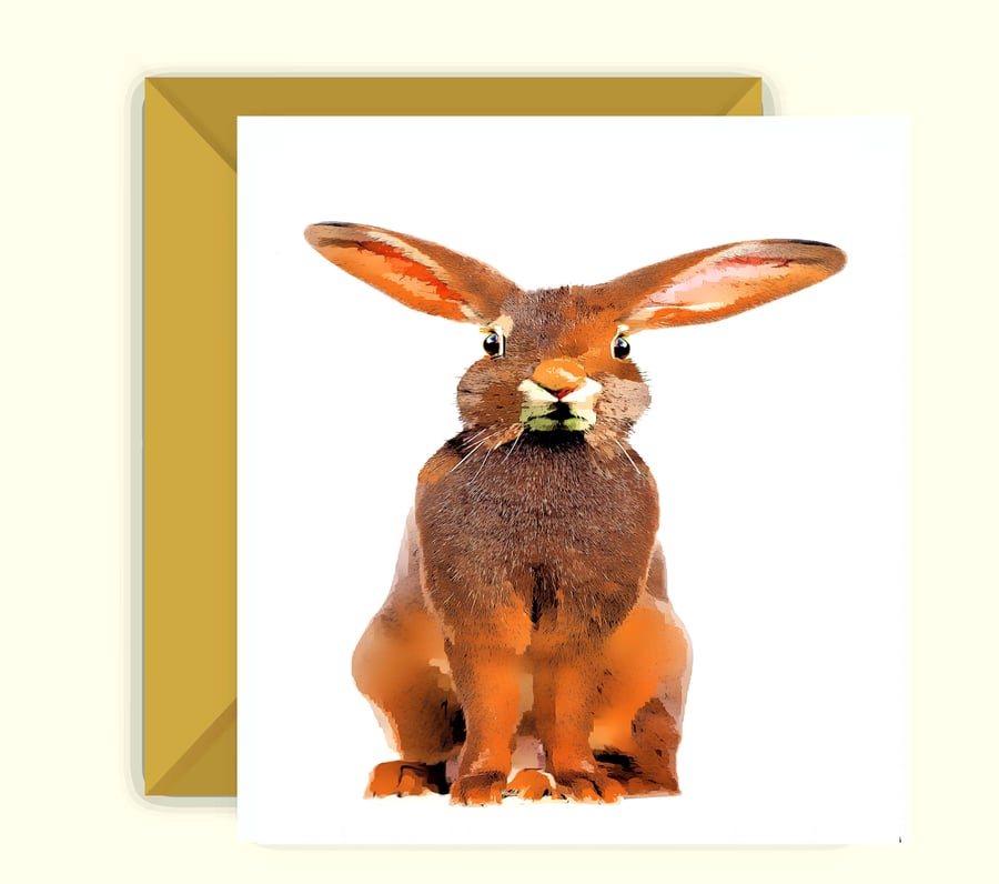 Hare Birthday, Greeting Card