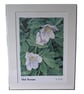 A4 oil mounted prints - Image 2