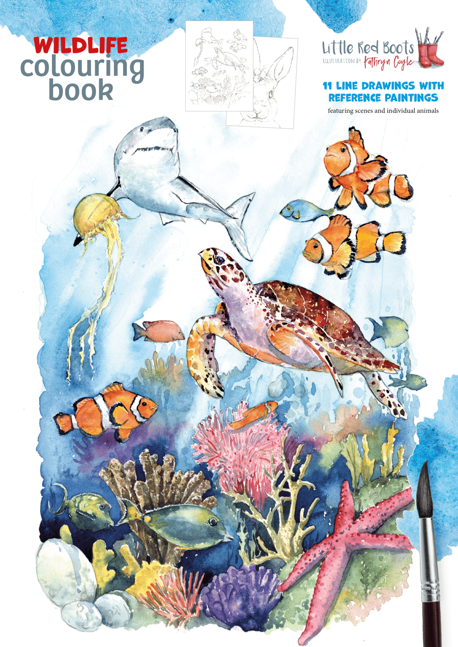 Wildlife Colouring book suitable for watercolours  - FREE POSTAGE