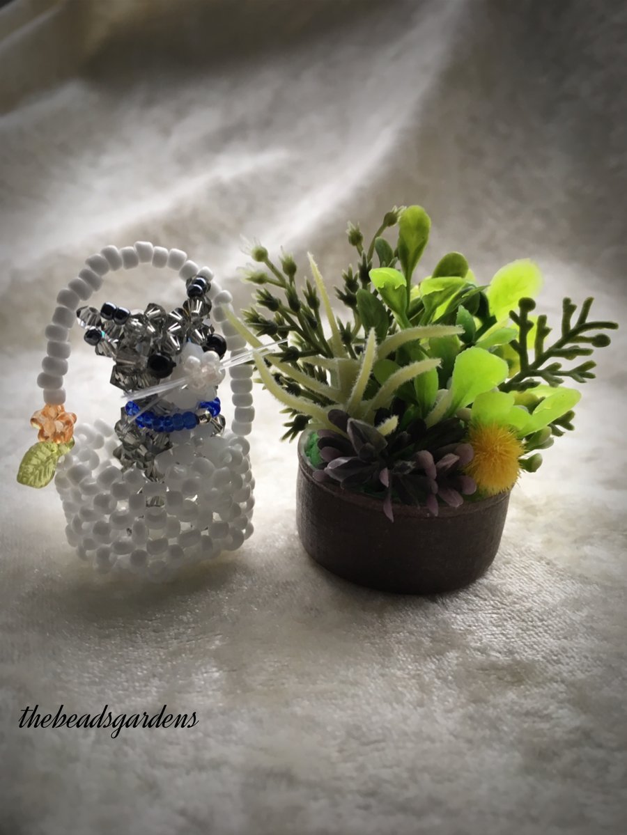 Pussy cat in the basket 