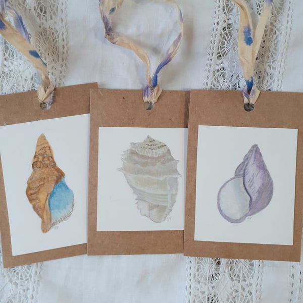 3 tags. Water colour sea shell.
