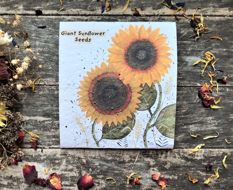 Pack of Sunflower Seeds, Illustrated Gift, Illustrated nature inspired gifts