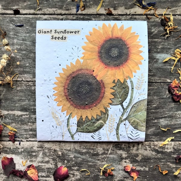 Pack of Sunflower Seeds, Illustrated Gift, Illustrated nature inspired gifts