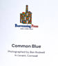 Blank Card A6 Portrait - Common Blue - Image 4