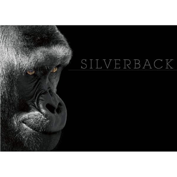 SILVERBACK BLACK & WHITE POSTER