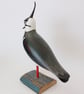 Lapwing - Image 2