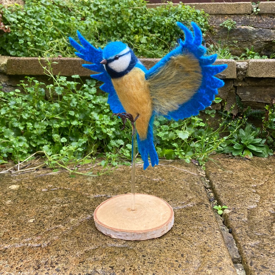 Needle felted flying Blue tit, woollen bird sculpture model