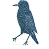 Original lino cut print "Mister Starling" in green and blue