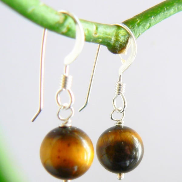 Tiger's Eye Drop Earrings