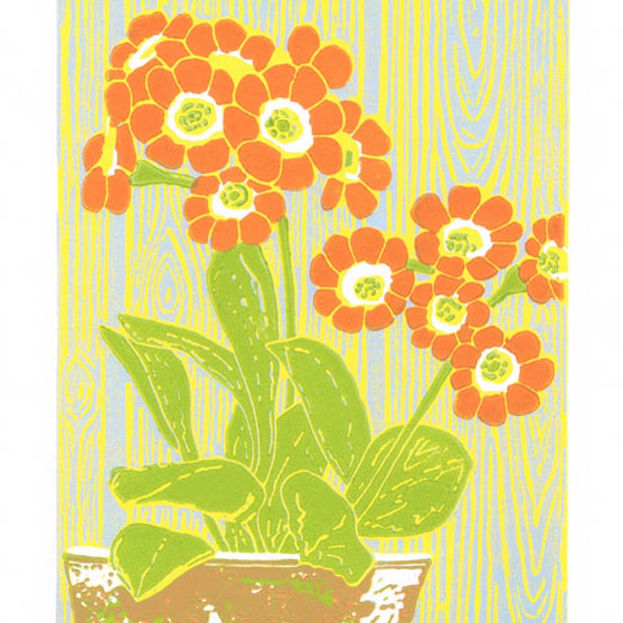 Auricula 'Dusky Orange'  Orange flower limited edition linocut print