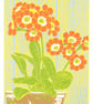 Auricula 'Dusky Orange'  Orange flower limited edition linocut print