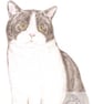 Archie the Cat -  Birthday Card - Image 1