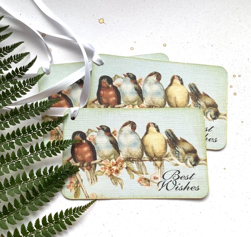 GIFT TAGS .Vintage -style ( set of 3 ) .'Spring Bough ' . Birds. Apple Blossom. 