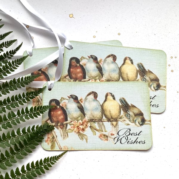 GIFT TAGS .Vintage -style ( set of 3 ) .'Spring Bough ' . Birds. Apple Blossom. 