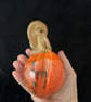 Small pumpkin  - Image 3