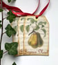 CHRISTMAS gift tags ( set of 3) .Vintage,French-style. Noel. Pear. Botanical. - Image 1