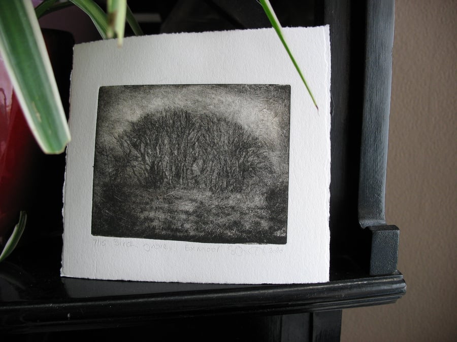 Moody etching 'Birch grove, Exmoor'