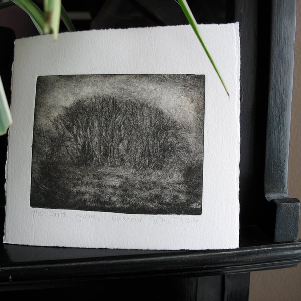 Moody etching 'Birch grove, Exmoor'