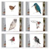 Mixed pack of British  bird greeting cards x 6