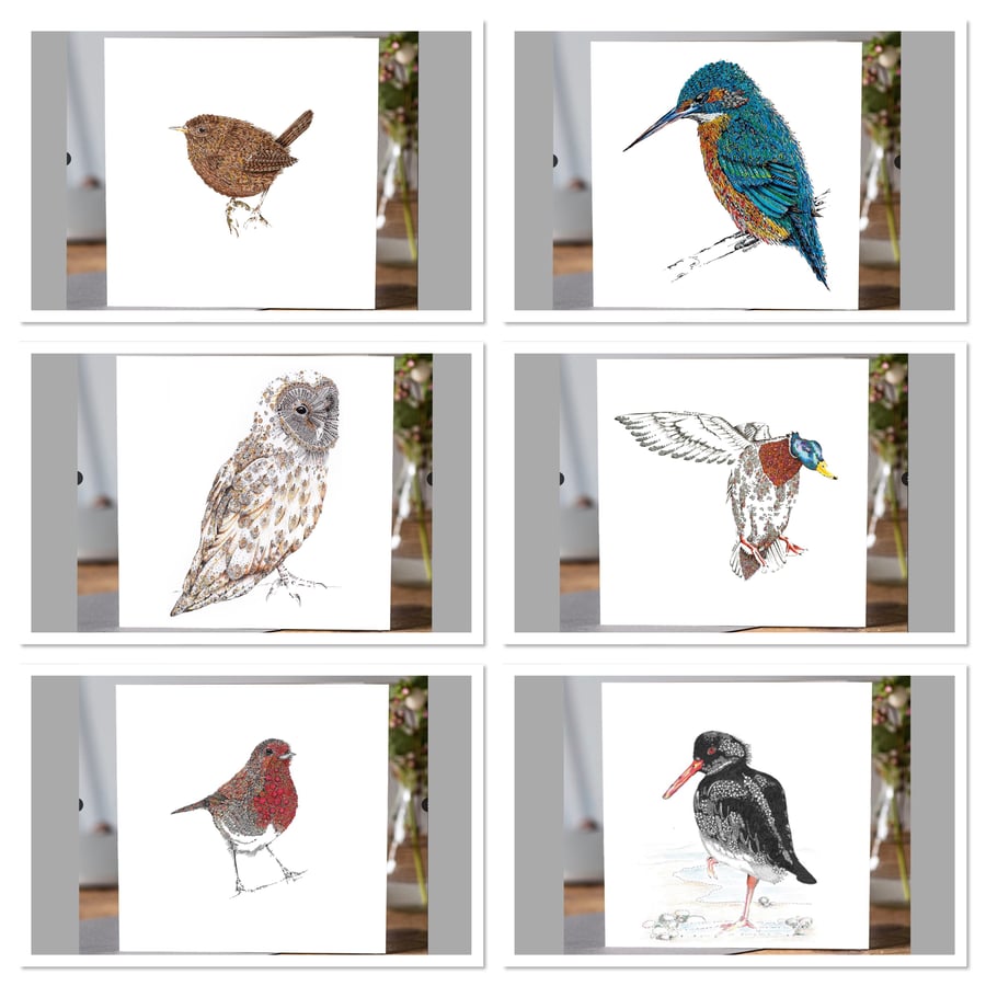 Mixed pack of British  bird greeting cards x 6