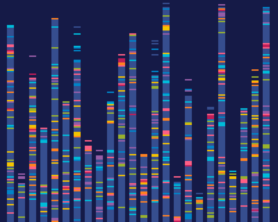 092 - DNA in cross stitch! - A truly modern piece, Genome Sequencing barcode map