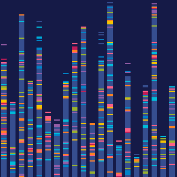 092 - DNA in cross stitch! - A truly modern piece, Genome Sequencing barcode map
