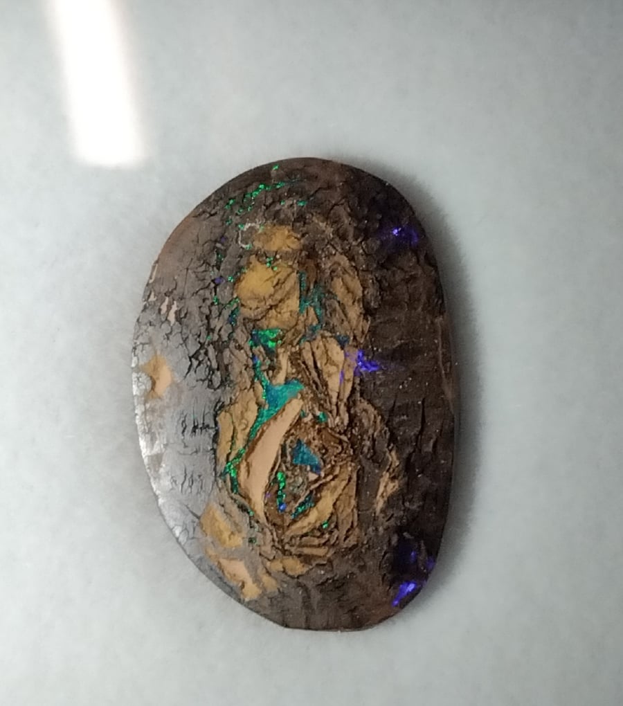  RARE PORTRAIT BOULDER OPAL ,THE MYTHICAL GREEN EYED MONSTER IN THE MATRIX 
