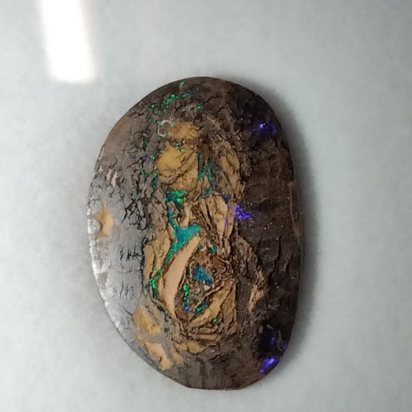  RARE PORTRAIT BOULDER OPAL ,THE MYTHICAL GREEN EYED MONSTER IN THE MATRIX 