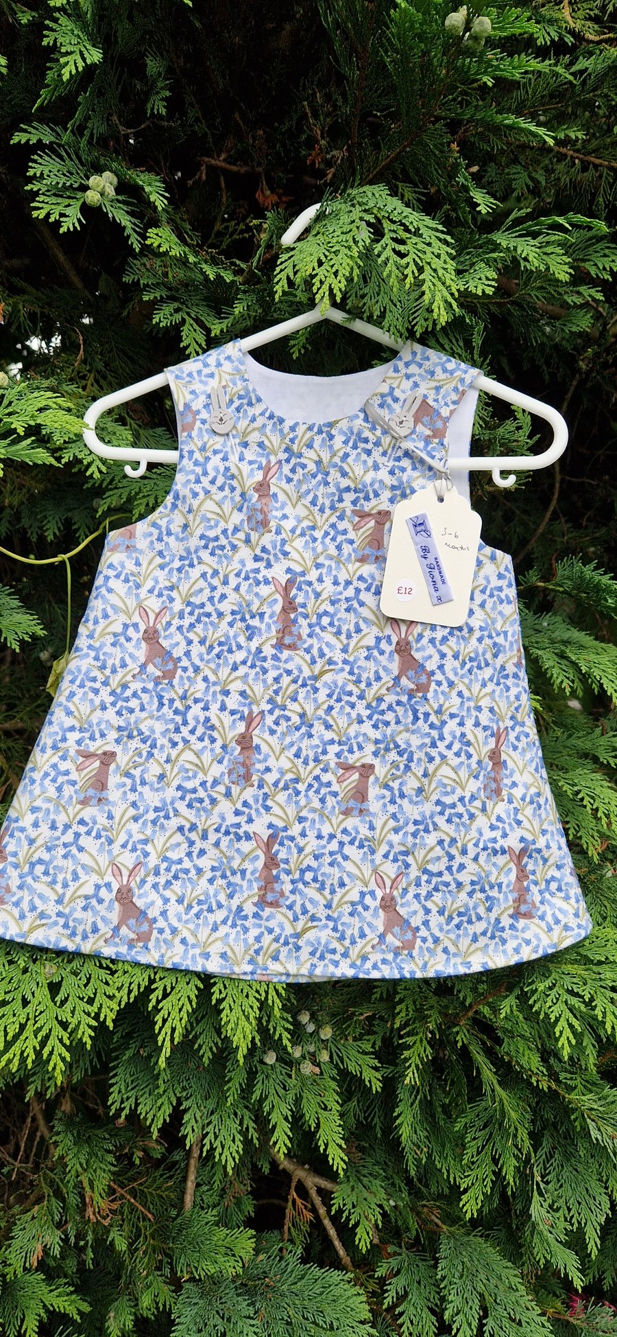 Age: 3-6m Rabbit and Bluebell Dress 