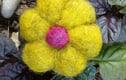 Flower Brooches