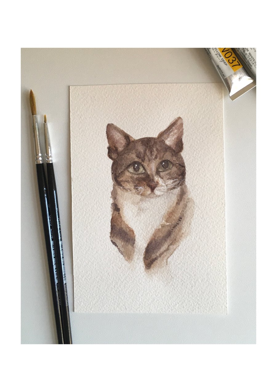 Watercolour pet portrait commission A5