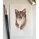 Watercolour pet portrait commission A5
