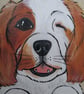 Personalised Pet Sign customised for rabbits guinea pigs cats dogs M NO HOLES - Image 3