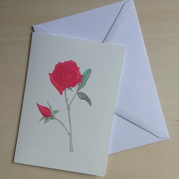 Red Rose blank inside card, a print of original artwork