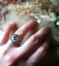 Hypoallergenic, Adjustable Silver Stainless Steel Ring - Real Shells - Image 3