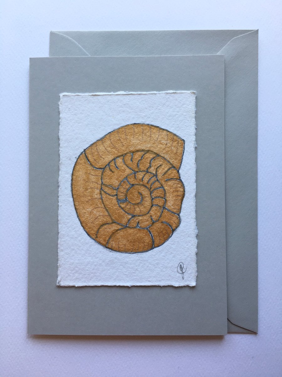 Gold Ammonite card 