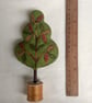 Cotton reel tree - bold green with variegated leaves - Image 8