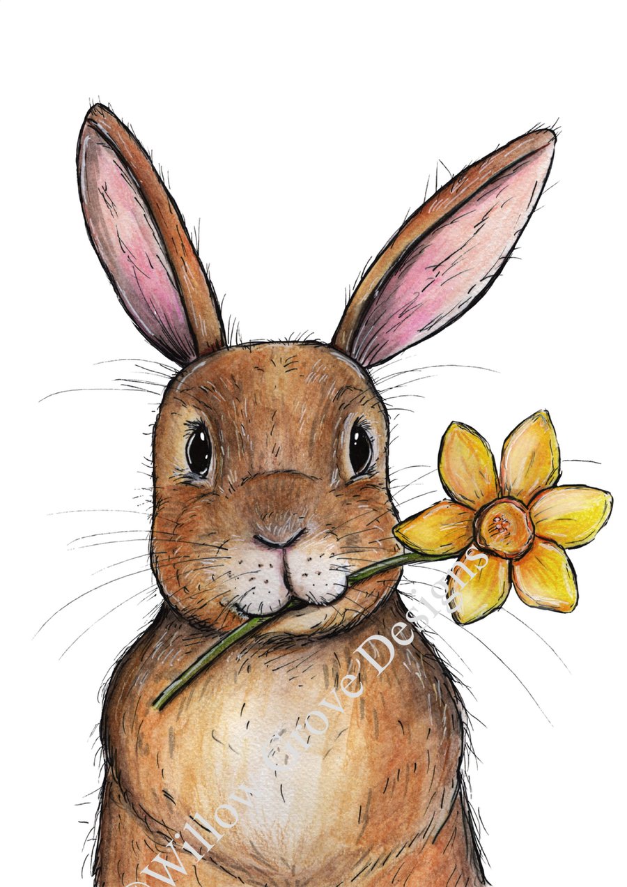 Daffodil bunny signed print 