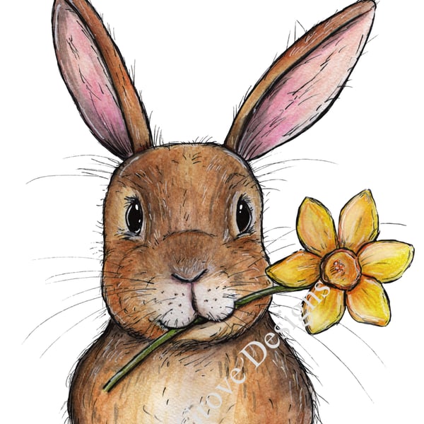 Daffodil bunny signed print 