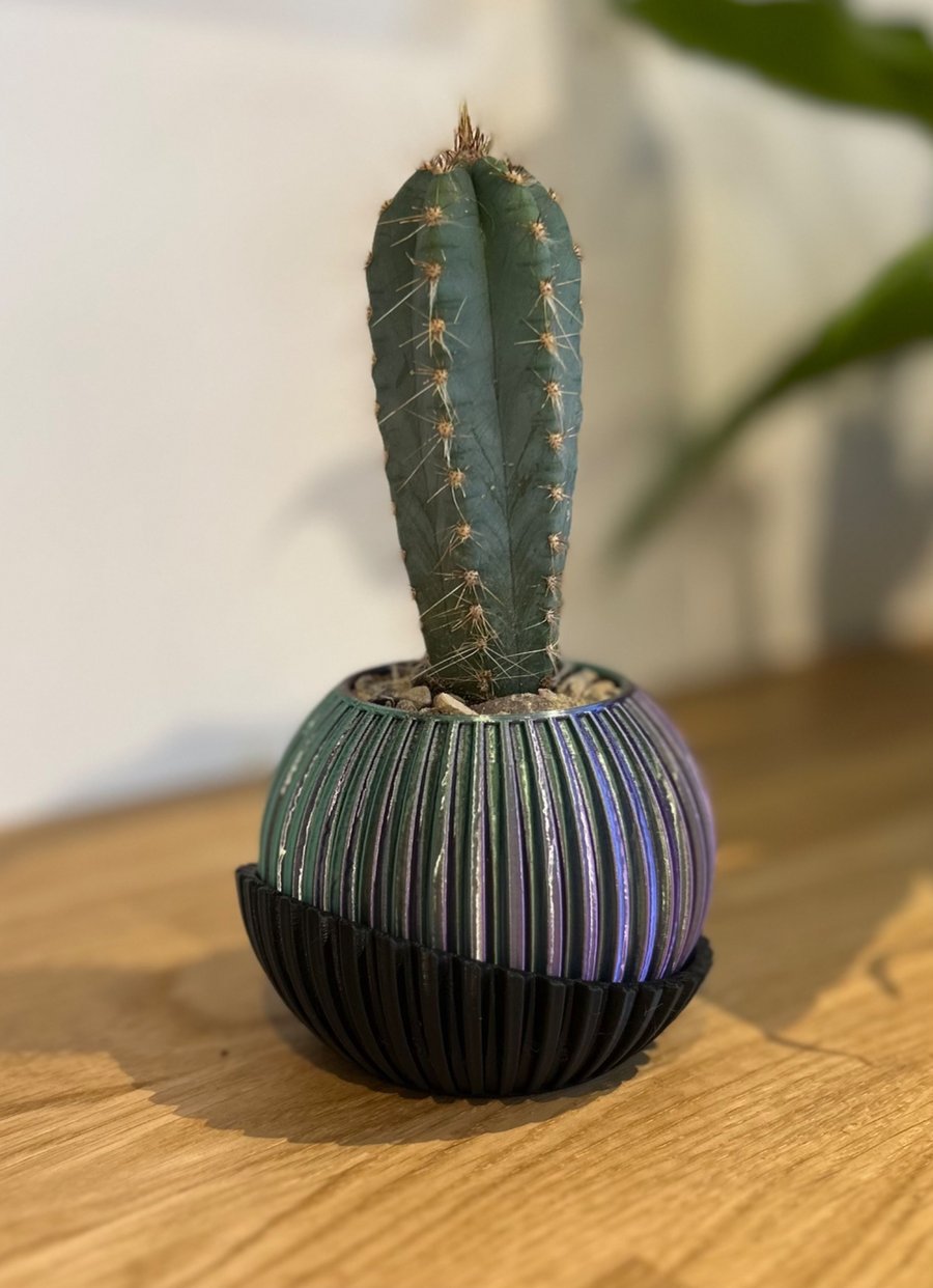 Contemporary Bicolour Mini Pot for Cactus and Small Plants