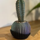 Contemporary Bicolour Mini Pot for Cactus and Small Plants