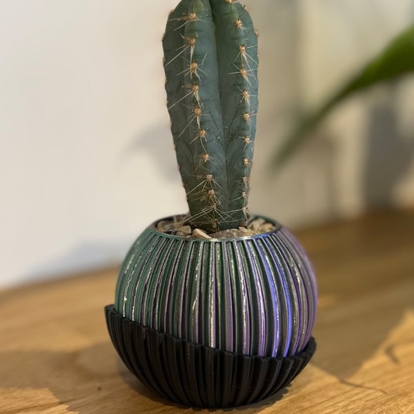 Contemporary Bicolour Mini Pot for Cactus and Small Plants