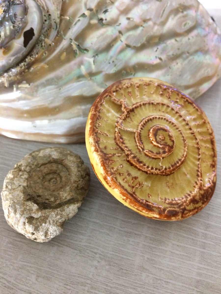 Ammonite  Imprint Brooch