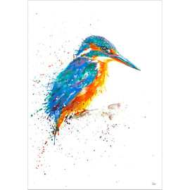 The Waiting Kingfisher watercolour print, bird painting