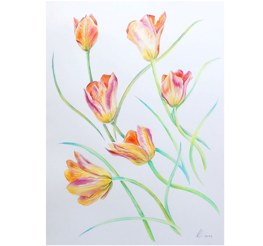 Tulip Botanical Watercolour  Original Painting
