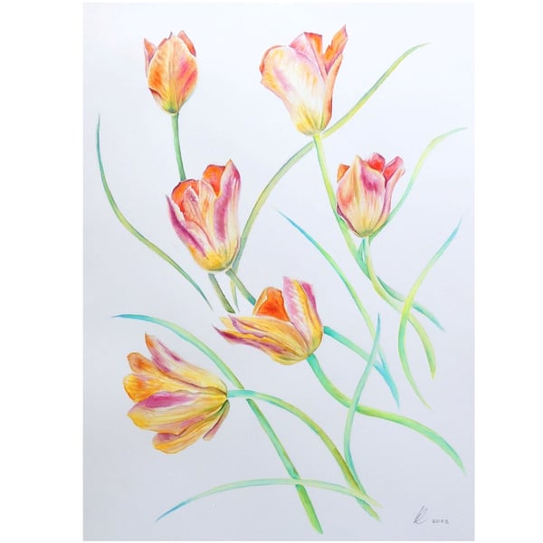 Tulip Botanical Watercolour Original Painting  Peach Tulips Floral Wall Art